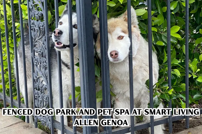 fenced dog park and pet spa at smart living allen genoa