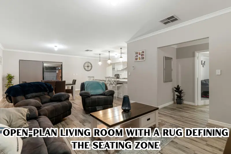 open-plan living room with a rug defining the seating zone