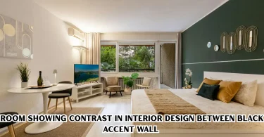 room showing Contrast in Interior Design between black accent wall