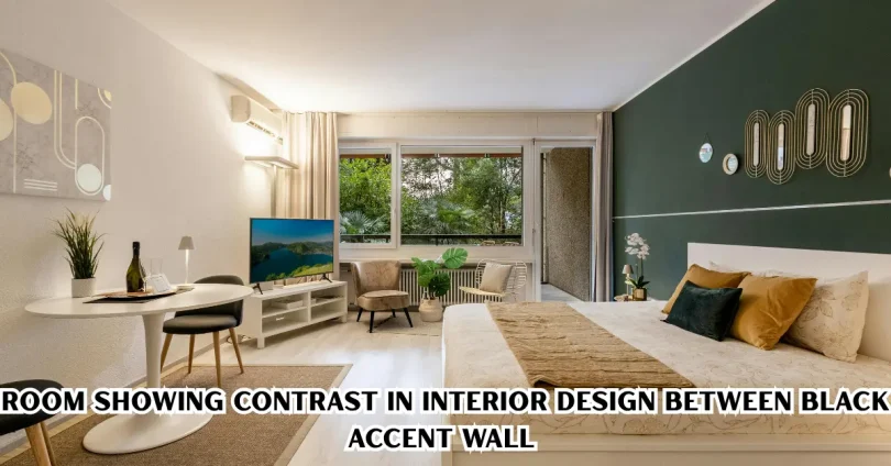 room showing Contrast in Interior Design between black accent wall