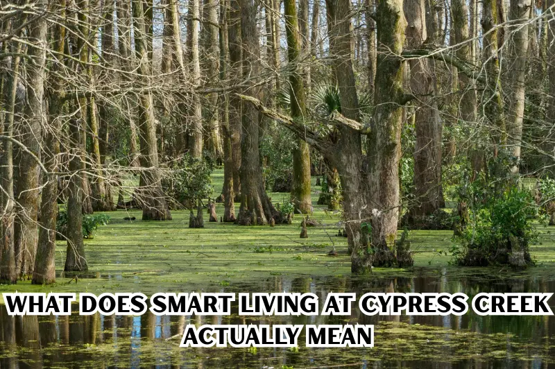 what does smart living at cypress creek actually mean